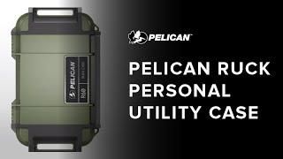 Pelican